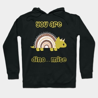 Dino lover fun joke Hoodie